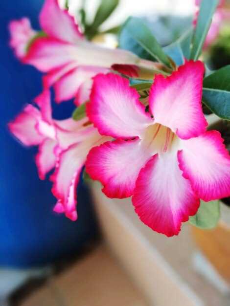 Основные черты характера обладательниц этого имени