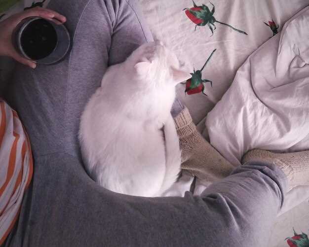 Связь с текущими жизненными событиями и эмоциональным состоянием