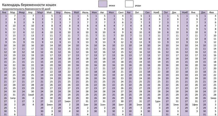 Учет регулярности менструального цикла