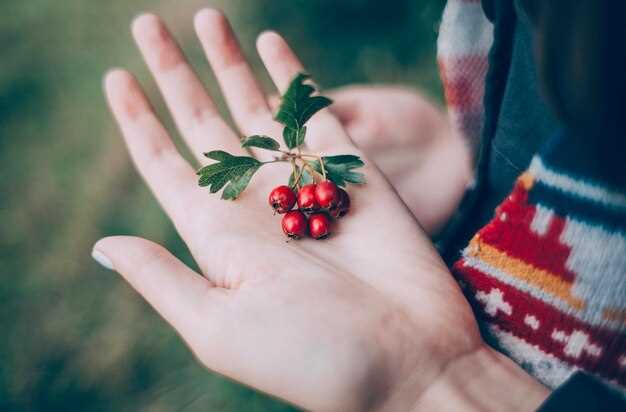 Влияние на уровень жидкости в организме и его баланс