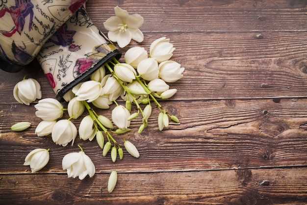 Влияние имени на психологический портрет человека