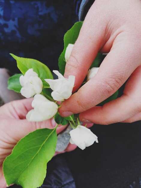 Основные черты характера, ассоциируемые с носителями имени