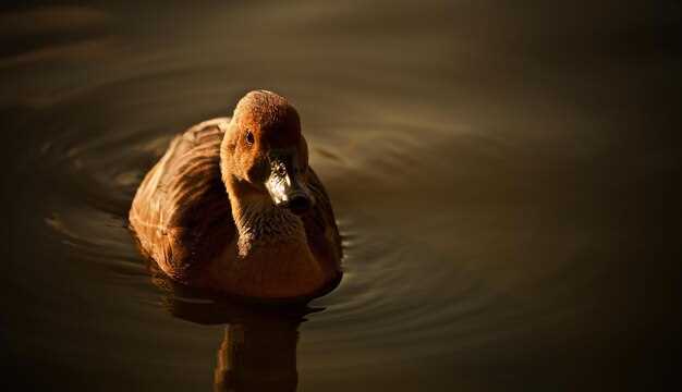 Образ живой утки и его отличие от мертвой или предметной