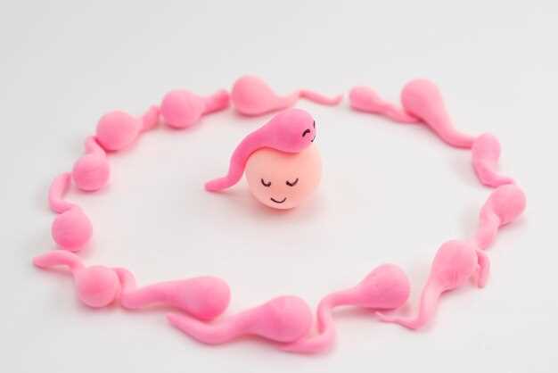 Внутренние процессы и практические особенности беременности на 11 неделе