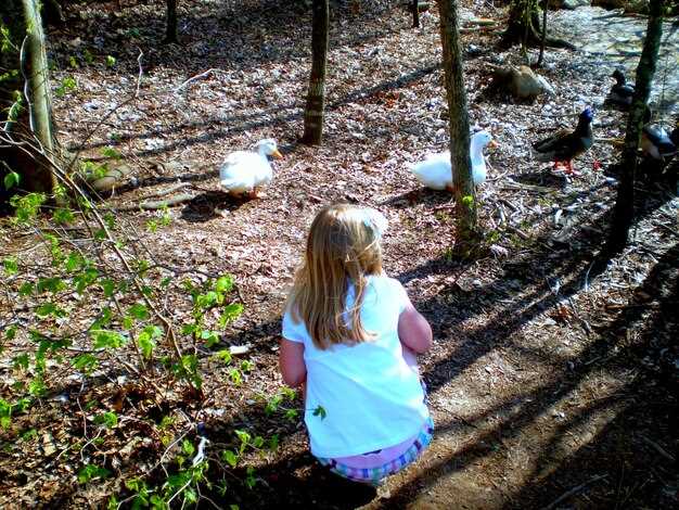 Жизнь после взросления: судьбы и достижения