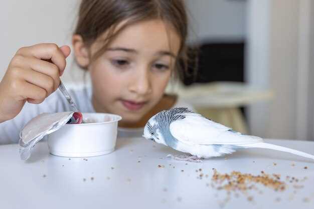 Профессиональные пути и знаменитость