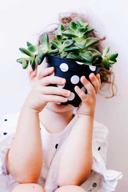 Виды дополнительного образования: выбор кружков и секций