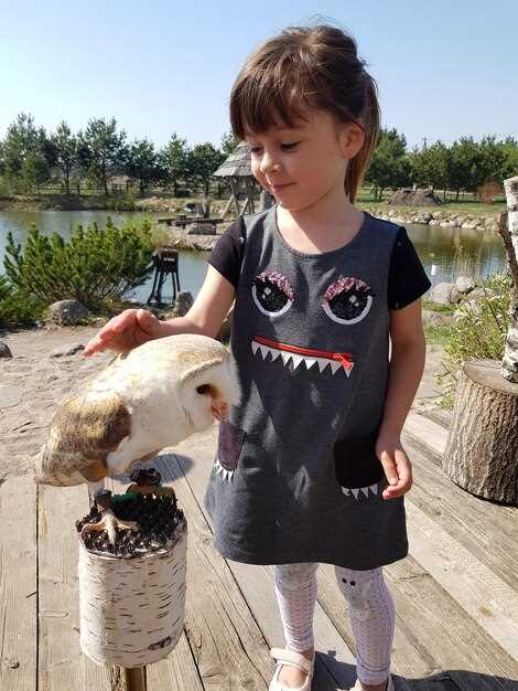 Реакция публики и поклонников