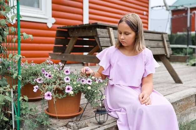 Юридические аспекты и социальная поддержка