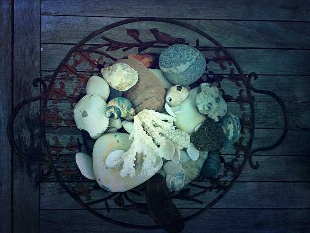 Роль лидеров и организаторов: командиры и бонз