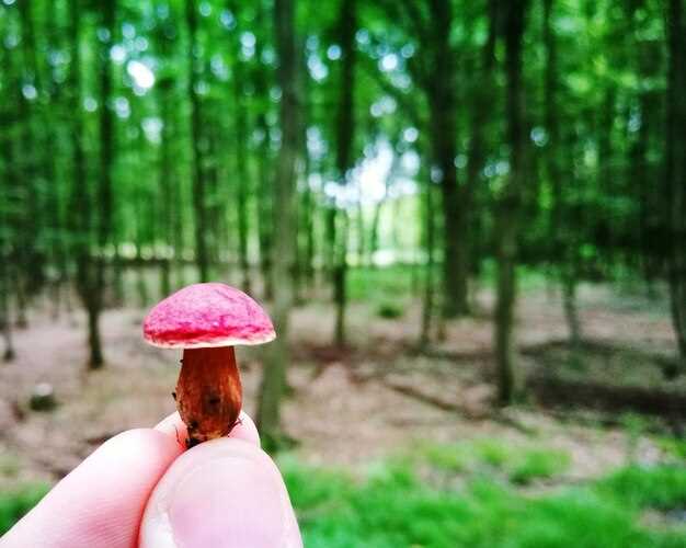 Какие аспекты жизни могут оказывать влияние на смысл сновидения