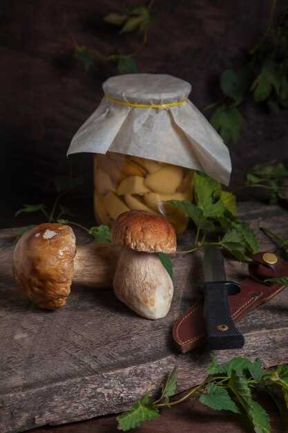 Подготовка грибов: выбор и обработка