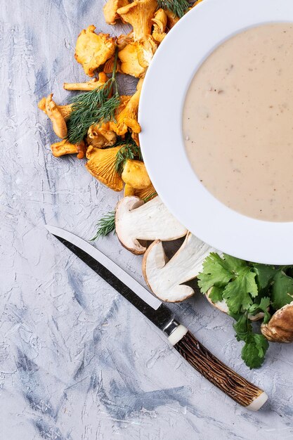 Подготовка и выбор ингредиентов для супа из сушеных белых грибов