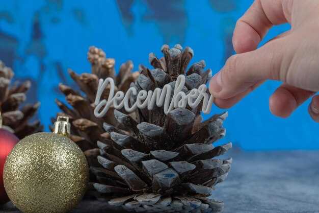 Особенности выбора имени для новорожденных в декабре