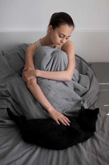 Контекст семейных отношений и влияние белой кошки на семейную жизнь