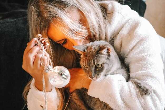 Кошка, которая мурлычет или играет: значение дружеских или романтических отношений