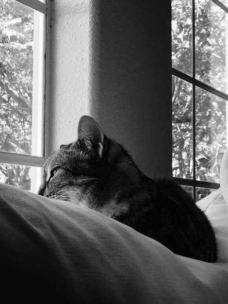 Когда стоит обратиться к профессиональному толкователю снов