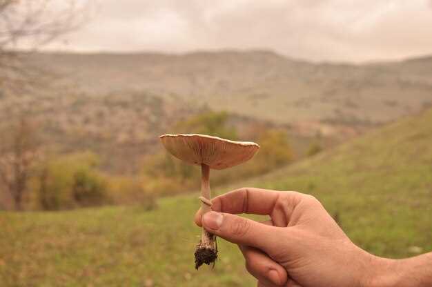 Интерпретация увиденного в зависимости от настроения и окружения во сне