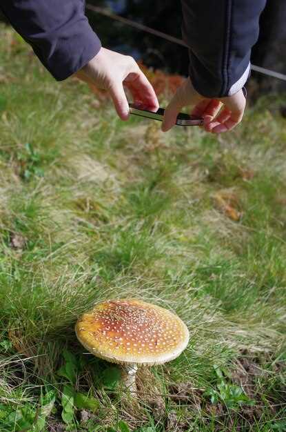 Возможное предостережение о рисках и опасностях