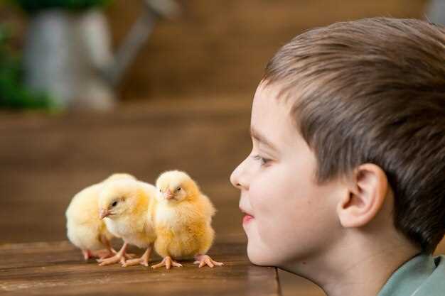 Что могут означать появление цыплят в сновидениях