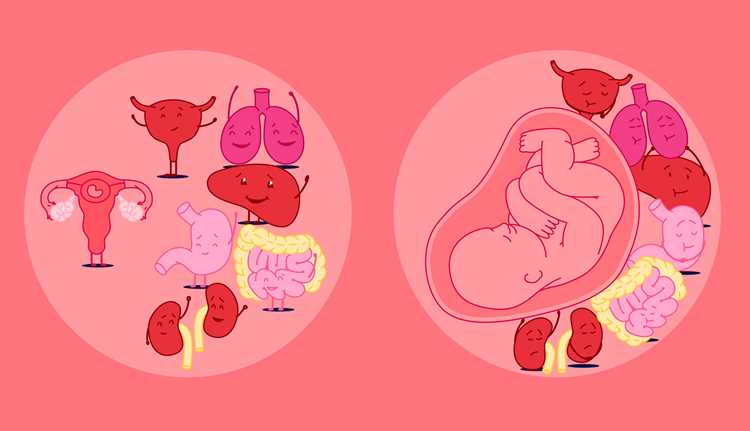 Влияние гормональных изменений на кишечник