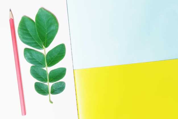 Использование салатового в брендинге и маркетинговых материалах