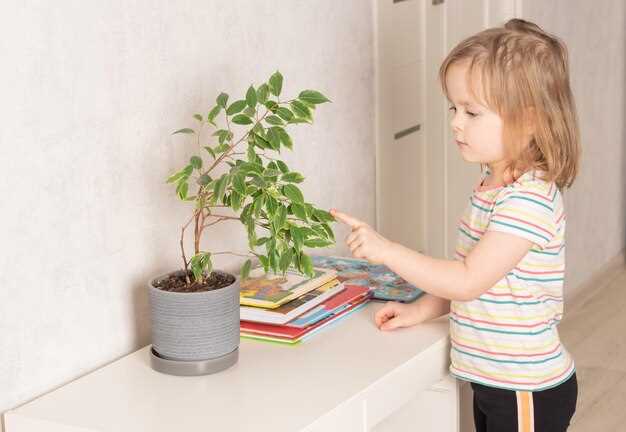 Постепенное внедрение новых временных рамок без стрессов