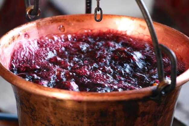 Когда собирать виноград: определение подходящего времени