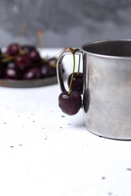 Подготовка сока для ферментации: от отжима до фильтрации