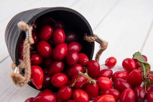 Процесс приготовления и ферментации домашнего вина из терновника