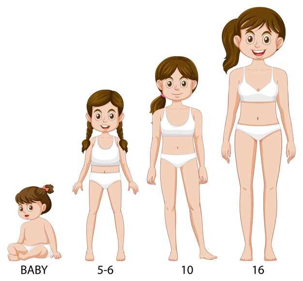 Различия между брендами и странами производства