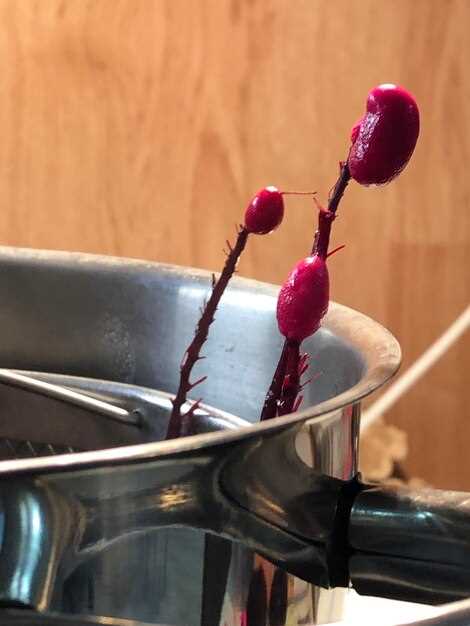 Подготовка посуды и инструментов: стеклянные бутыли, мешалки, гидрозатворы