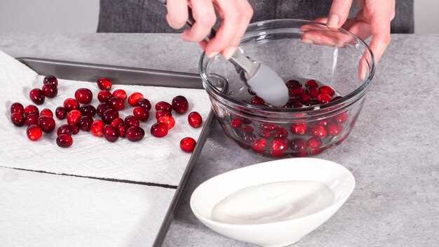 Специи и специи для усиления вкуса клюквы