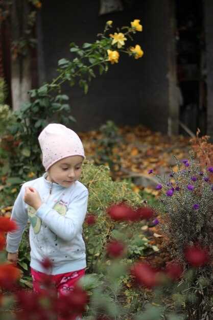 Наиболее распространённые имена в Азербайджане сегодня