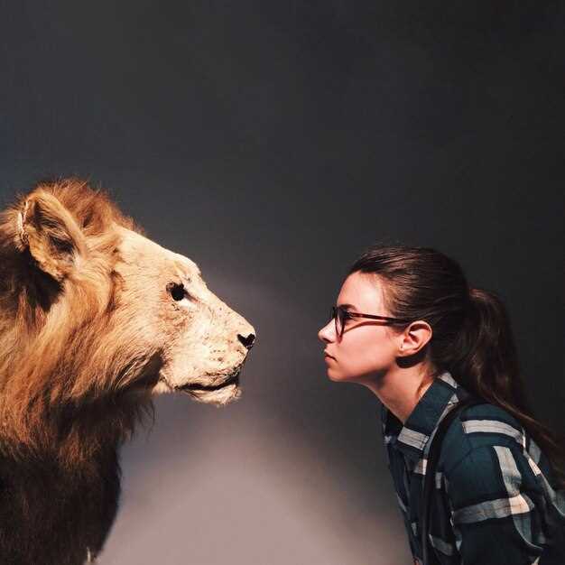 Лев-мужчина в отношениях: проявление романтики и лидерства