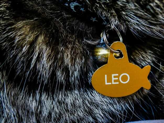 Стратегии для преодоления конфликтов и недопониманий