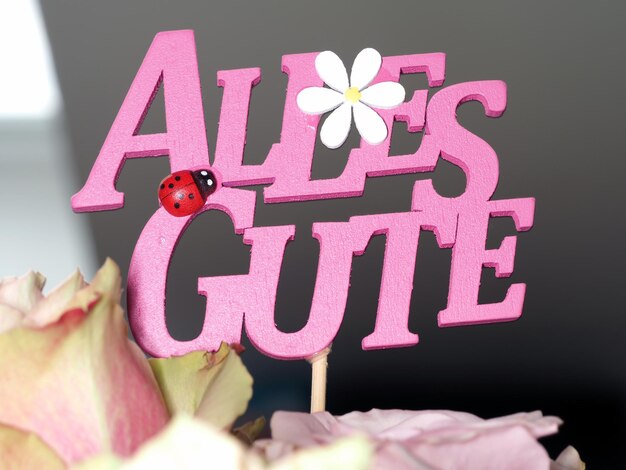 Топ-10 имен по статистике национальных реестров