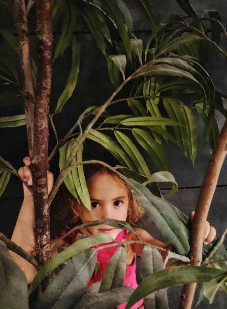 Использование фотографий в промо-материалах: идеи и примеры размещения