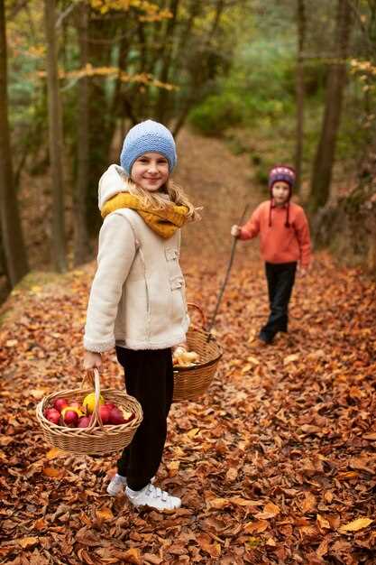 Организация прогулки-игры: кто быстрее соберет листьев нужных цветов