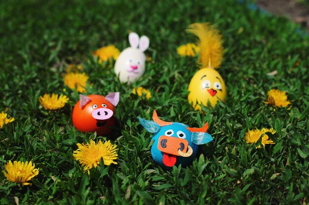 Рекомендуемые ресурсы и платформы с качественным музыкальным контентом