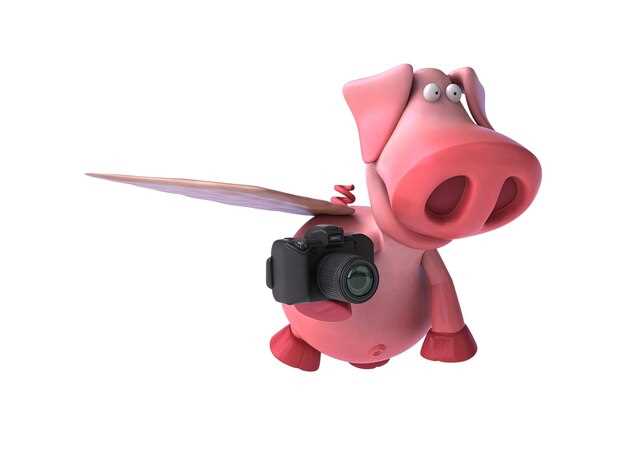 Обратная связь от поклонников и популяризация персонажа