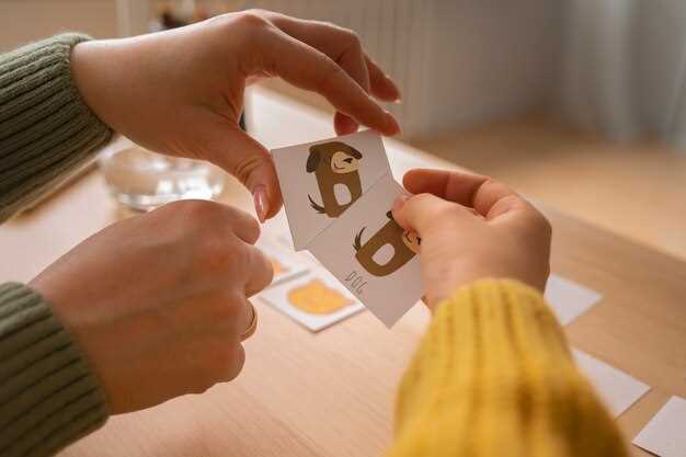 Правила популярных бумажных игр и советы по их ведению