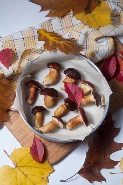 Подготовка грибов: как правильно их заранее подготовить