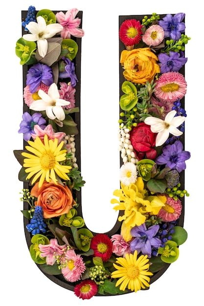 Имя Лилия: символика и ассоциации