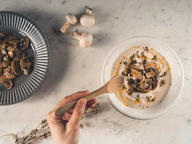 Приготовление основы супа из грибницы: от выбора грибов до зажарки