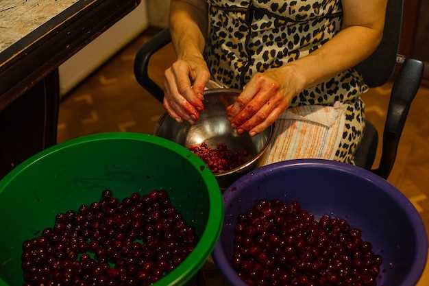 Обработка ягод перед началом процесса