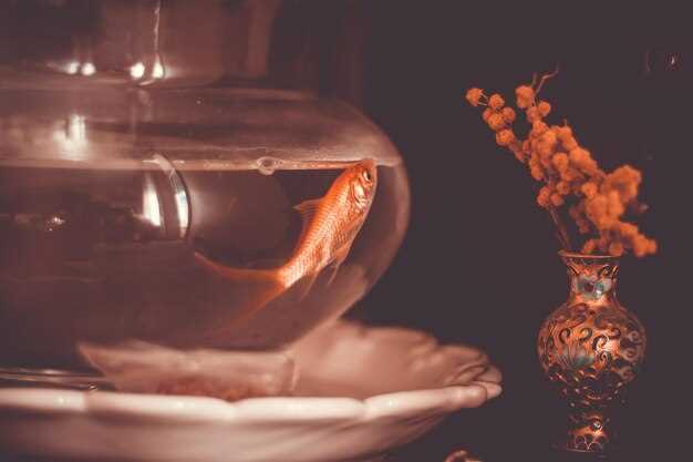 Практическое использование имени Марк в сфере выборов и маркетинга