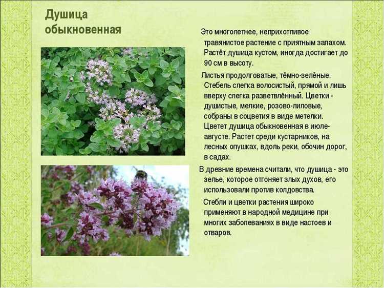 Потенциальные побочные эффекты и противопоказания