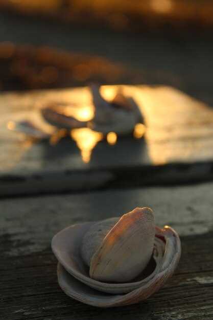 Лучшие способы приготовления мидий для сохранения полезных веществ