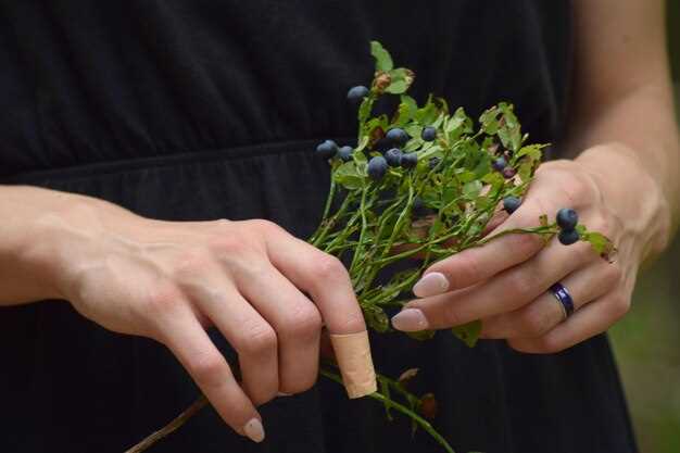 Имена и вариации Мирон в разных языках и регионах